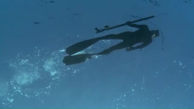 Hawaii Goes Fishing: Freediving With Kevin Sakuda